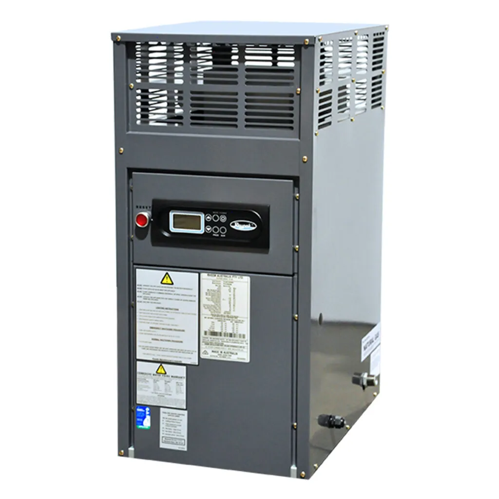 Rheem Raypak Spartan 131 spa heater